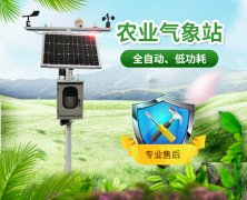 山東地區無公害葡萄種植需要什么條件？